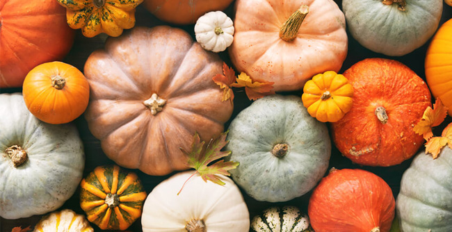 What Are The Benefits Of Pumpkin Face Masks?